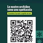 Apartment Arbi Vacanze
