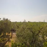 Apartment Arbi Vacanze *