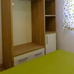 Arbi Vacanze *