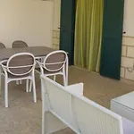 Arbi Vacanze *