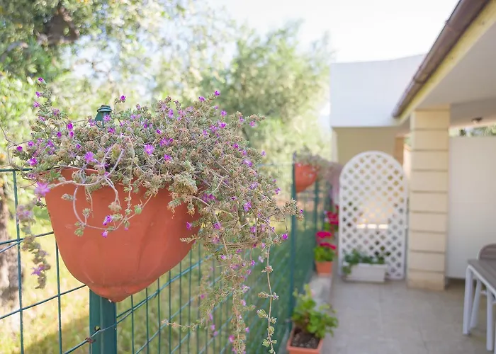 Arbi Vacanze Appartement Mattinata